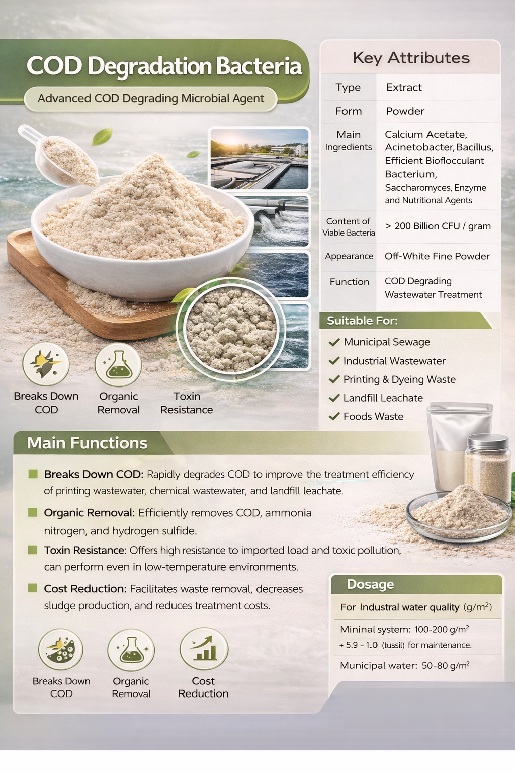 COD Degradation Bacteria