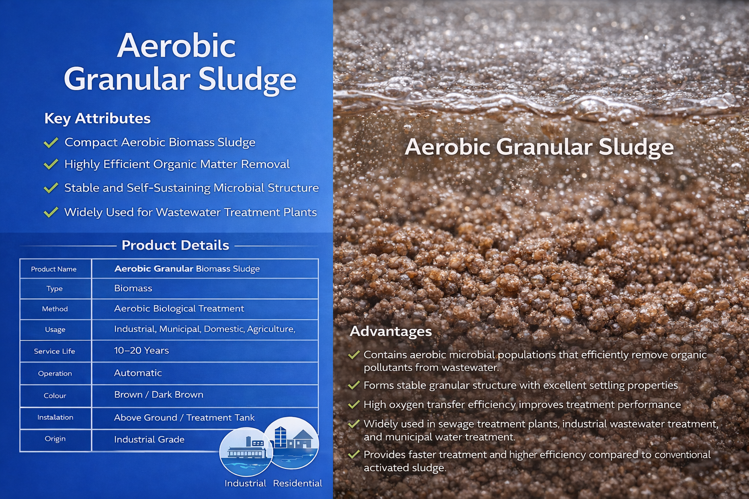 Aerobic Granular Sludge