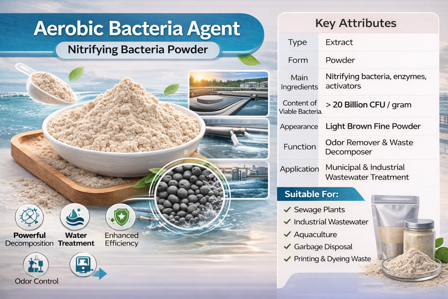 Anaerobic Bacteria Agent