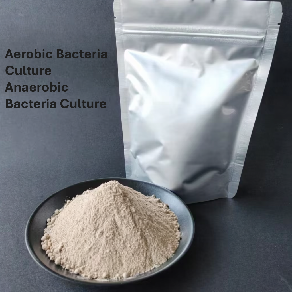 Environmental Solution